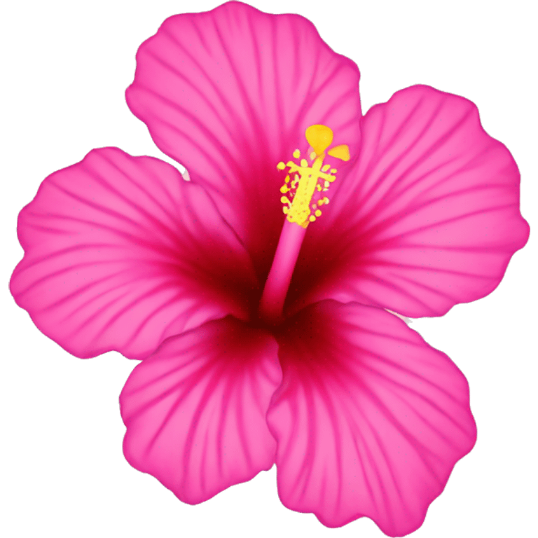 Pink hibiscus flower  emoji