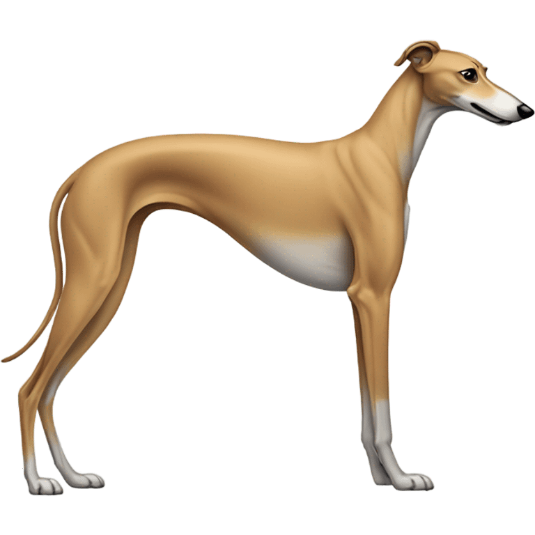 full tan greyhound emoji