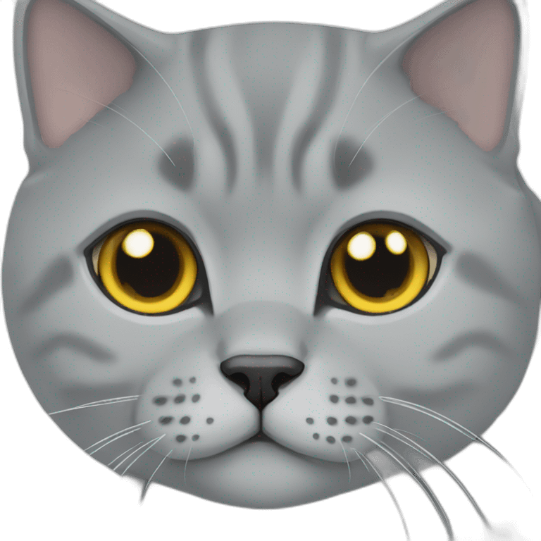 Grey british shorthair emoji