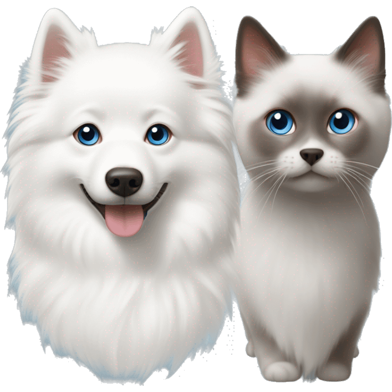 One white Japanese spitz with brown eyes and one small grey ragdoll cat with blue eyes  emoji