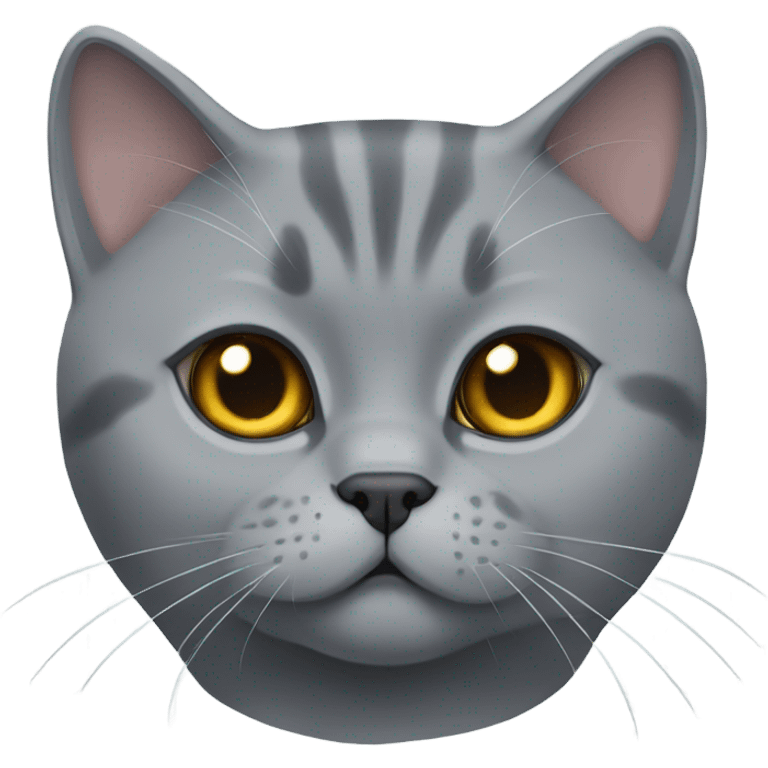 Gray British shorthair cat  emoji