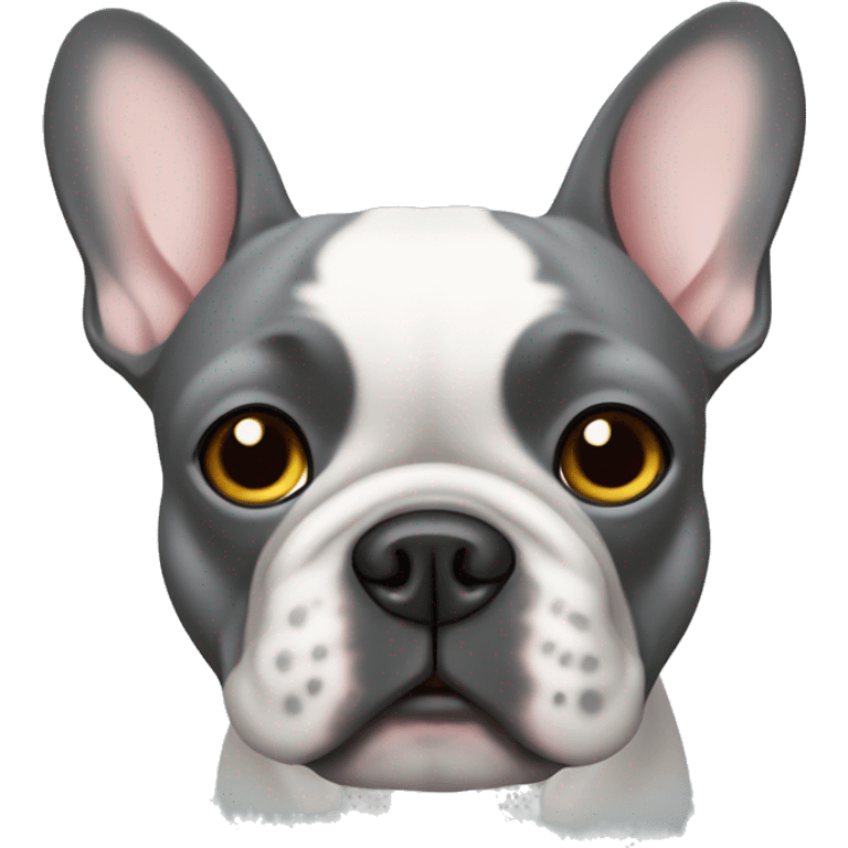 Gray French bulldog in a Jewish yamama emoji