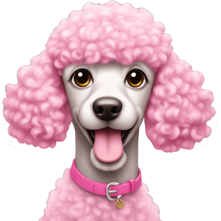 Pink Poodle emoji