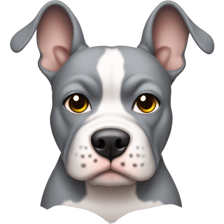 grey pocket bully with ears flappy emoji