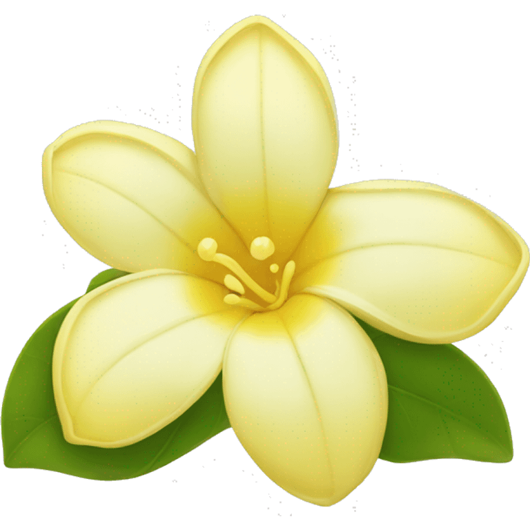 Yellow jasmine blossom flower emoji