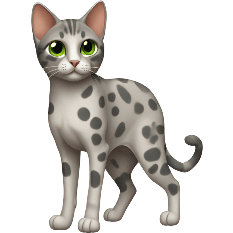 Short-haired oriental cat , full body , grey coat with spots , green eyes , terracotta nuzzle emoji