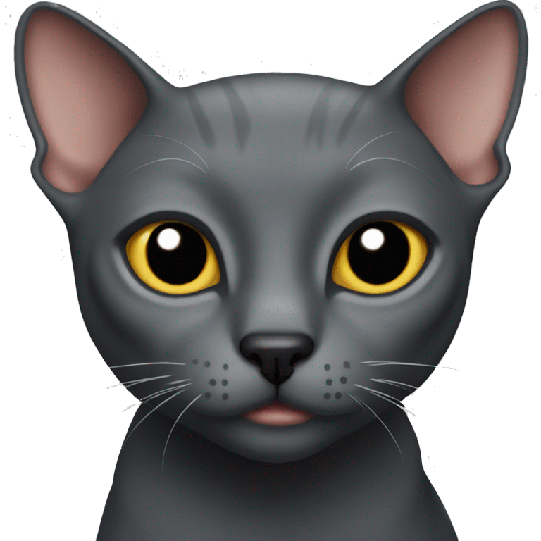 Dark Grey hairless cat  emoji