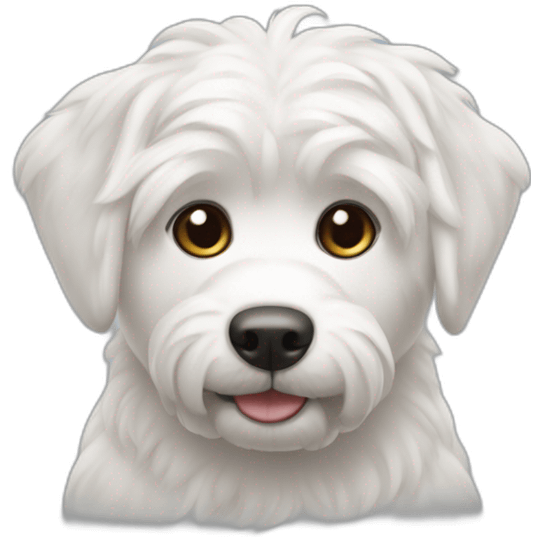 perro maltés blanco emoji