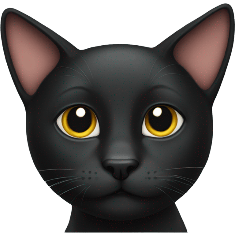 Black cat emoji