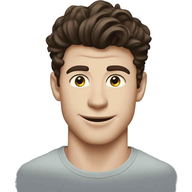 Shawn Mendes emoji