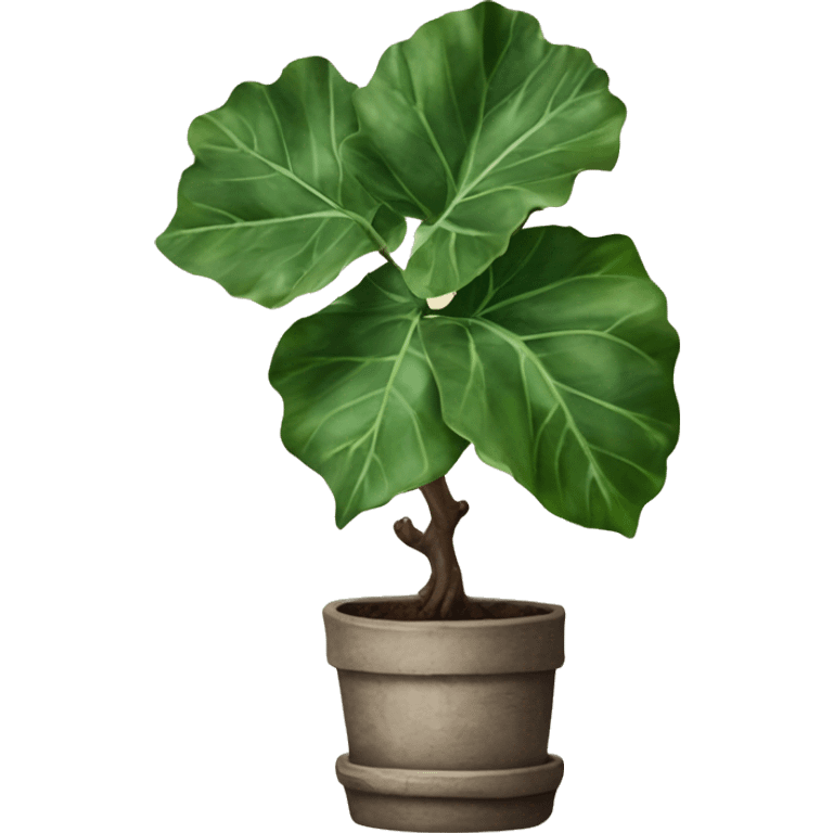 fiddle leaf with rustic plant pot emoji