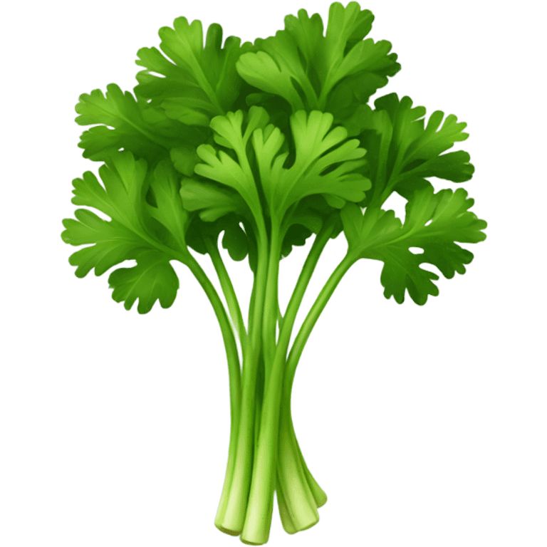 Parsley emoji