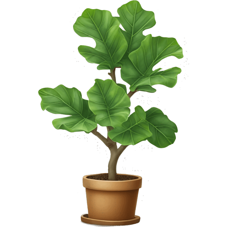 fiddle leaf fig tree emoji