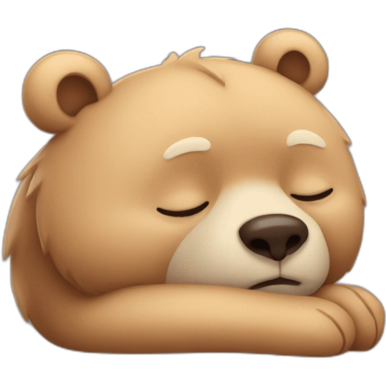 bear sleeping emoji