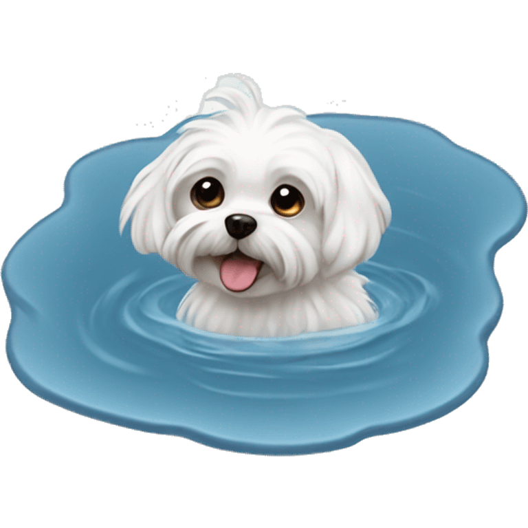 Puddle with Maltese small dog  emoji