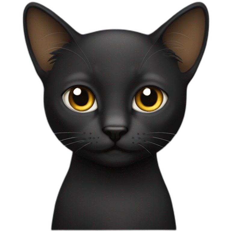 Gato negro de pelo largo emoji