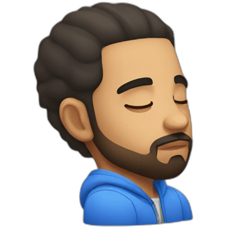 Drake sleeping emoji