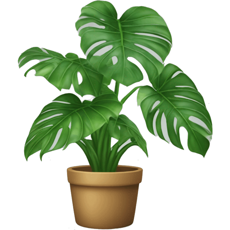 Monstera deliciosa  emoji