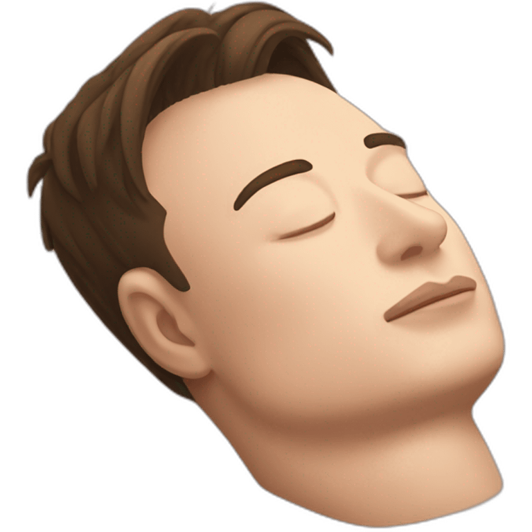 Sleeping Elon Musk emoji