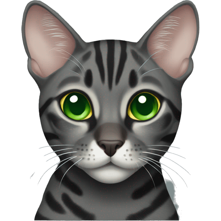 Charcoal Bengal cat with Green eyes  emoji