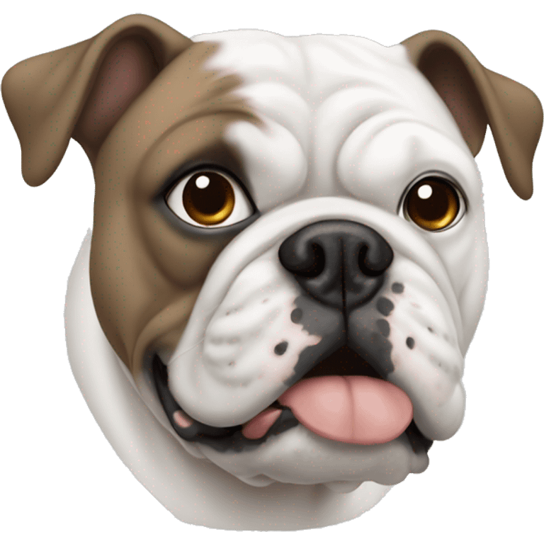 White bulldog with one blue eye and one brown eye emoji