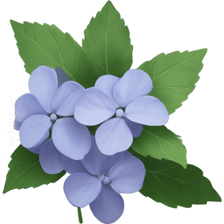 generate slack emoji image for "Hydrangea macrophylla" emoji