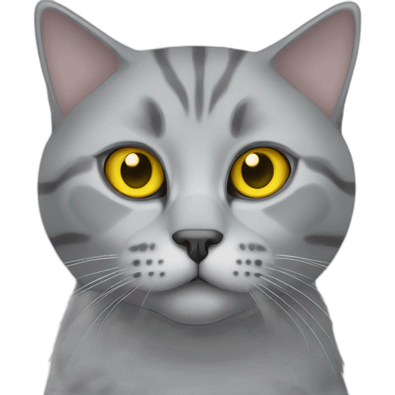 Silver marble Scottish straight cat with yellow eyes emoji