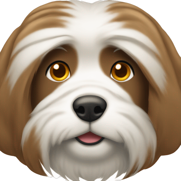 Dog with long hair brown and white long muzzle  emoji