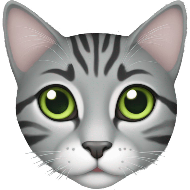 Grey and black tabby cat Green eyes  emoji