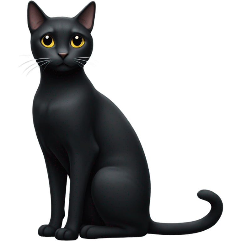 full body black cat with little white  spot under chin  emoji