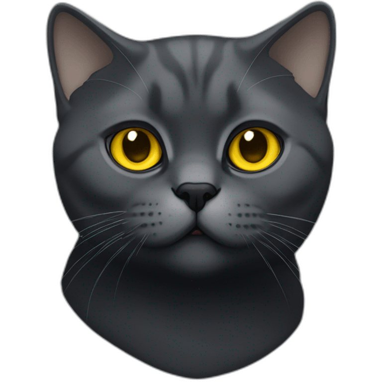 british shorthair cat in the Color dark black smoke with yellow eyes emoji