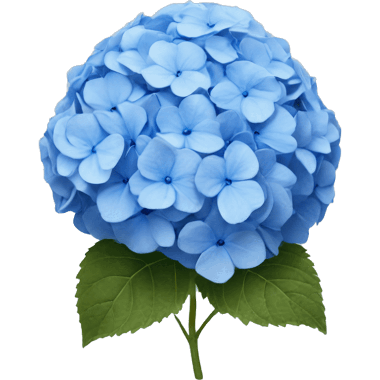 Blue hydrangea  emoji