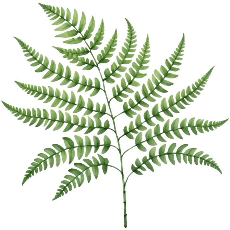 A close-up of a fern plant with intricate leaves, painted in soft watercolor greens with a subtle textured background.
 emoji