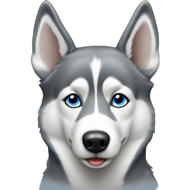 Blue eyed grey husky dog portrait  emoji