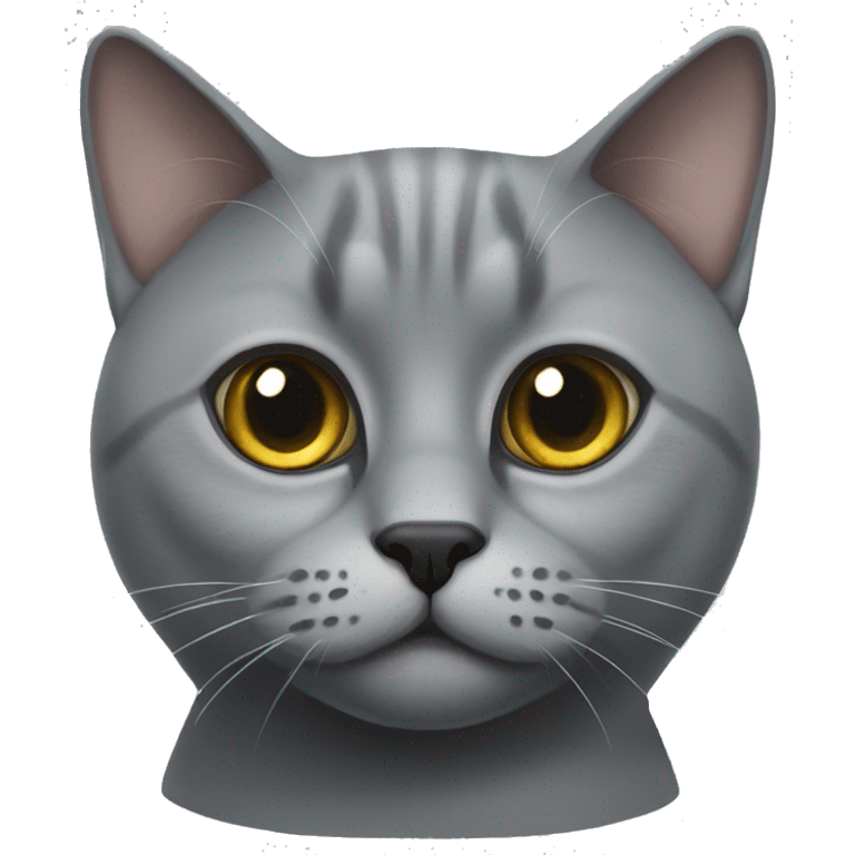 Grey British cat, with round eyes emoji