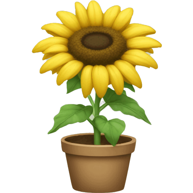 plant little sunflower emoji