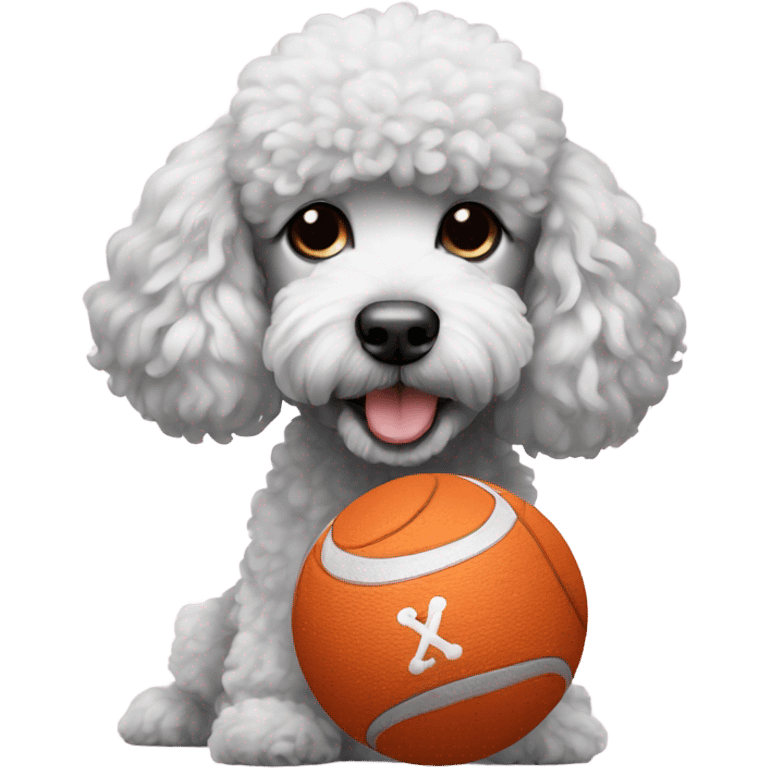 Poodle holding a ball emoji