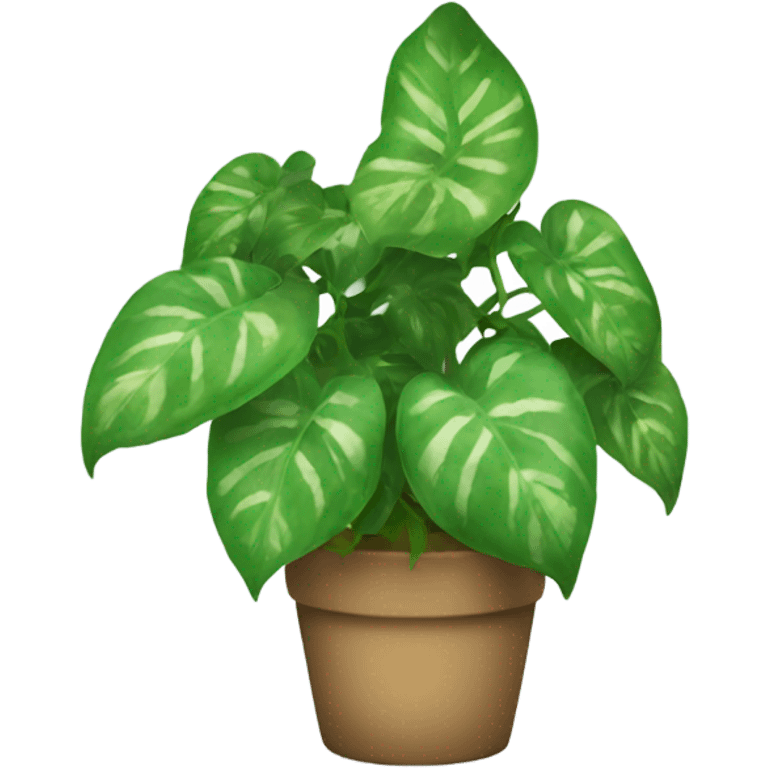 Pothos plant rainbow emoji