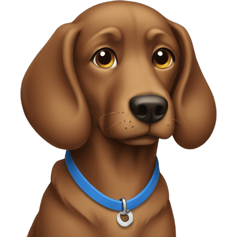 Brown dog wearing blue collar  emoji