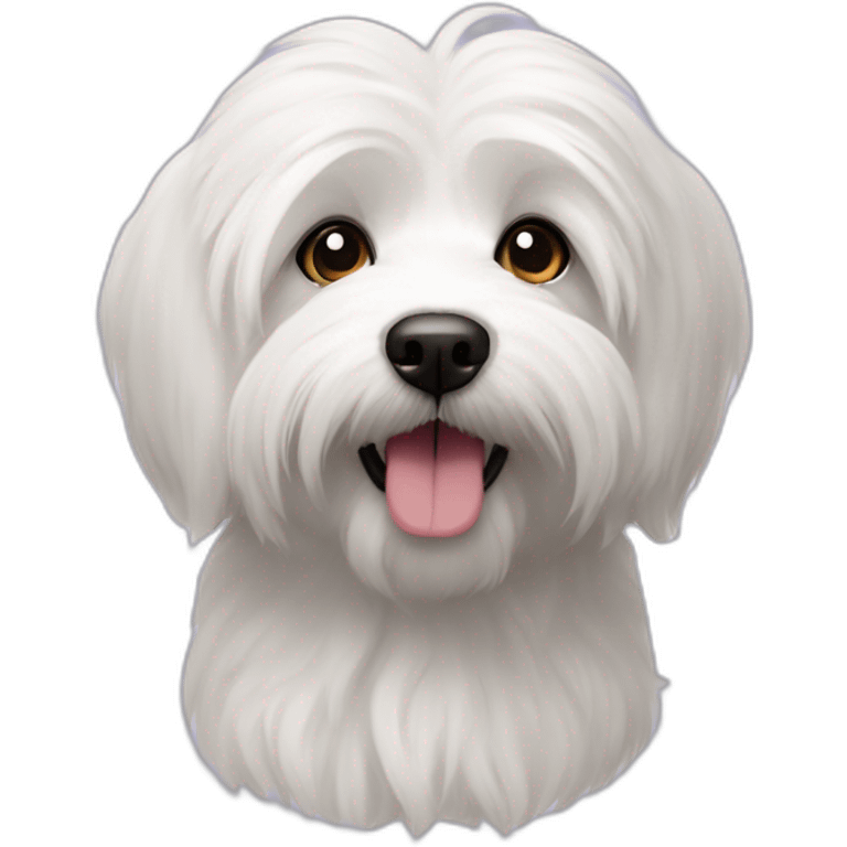 Coton de tulear dog emoji