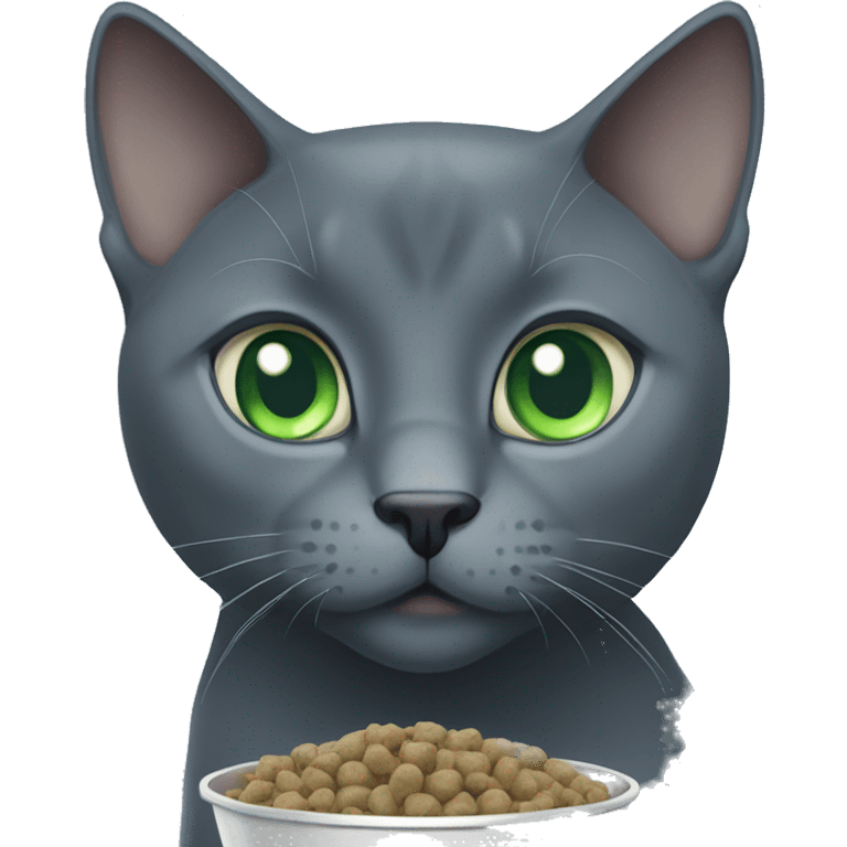 Russian Blue with blue,green eyes, eating cat food emoji