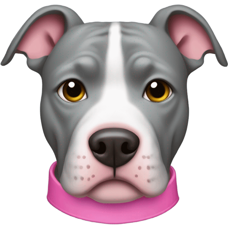 Grey Pitbull with pink collar  emoji