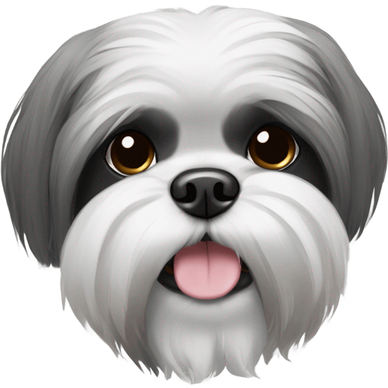 Shih tzu bushy grey and black face emoji