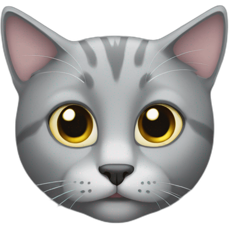 gray cat with slanting eyes emoji