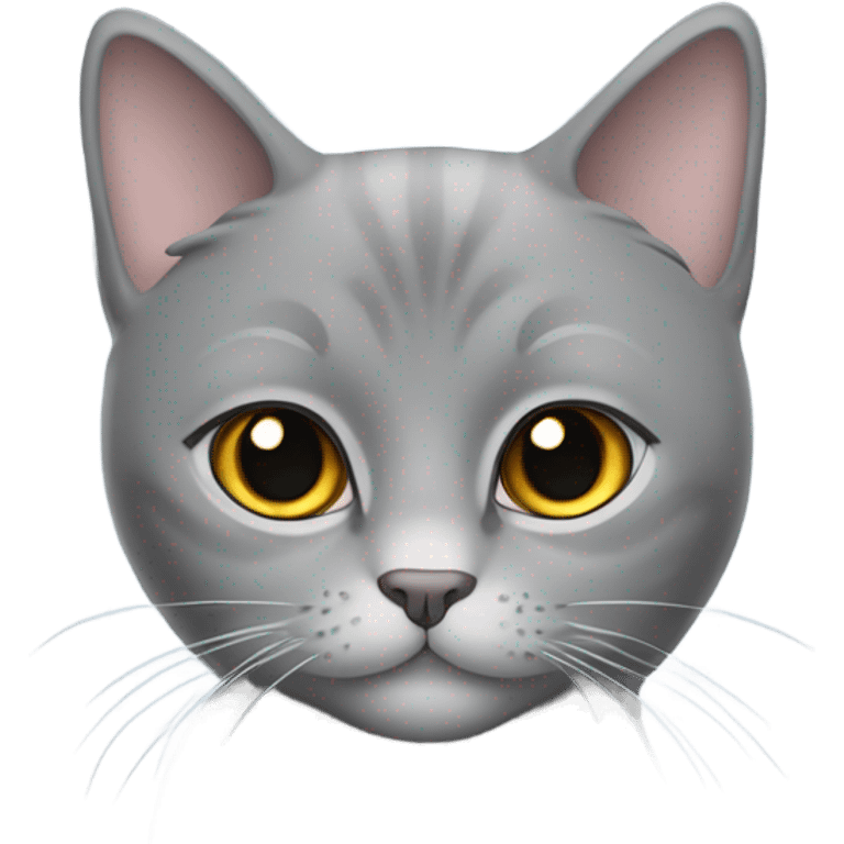 Girly British grey cat  emoji