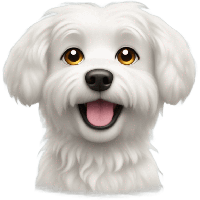 cute white dog emoji