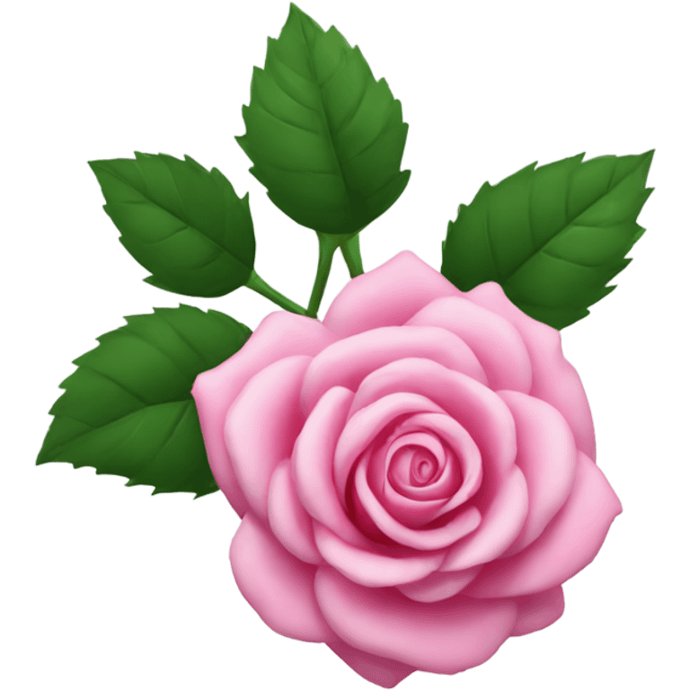 Pink rose emoji