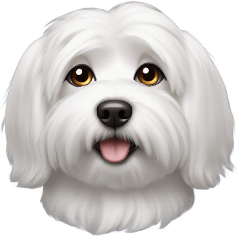 coton de tulear emoji