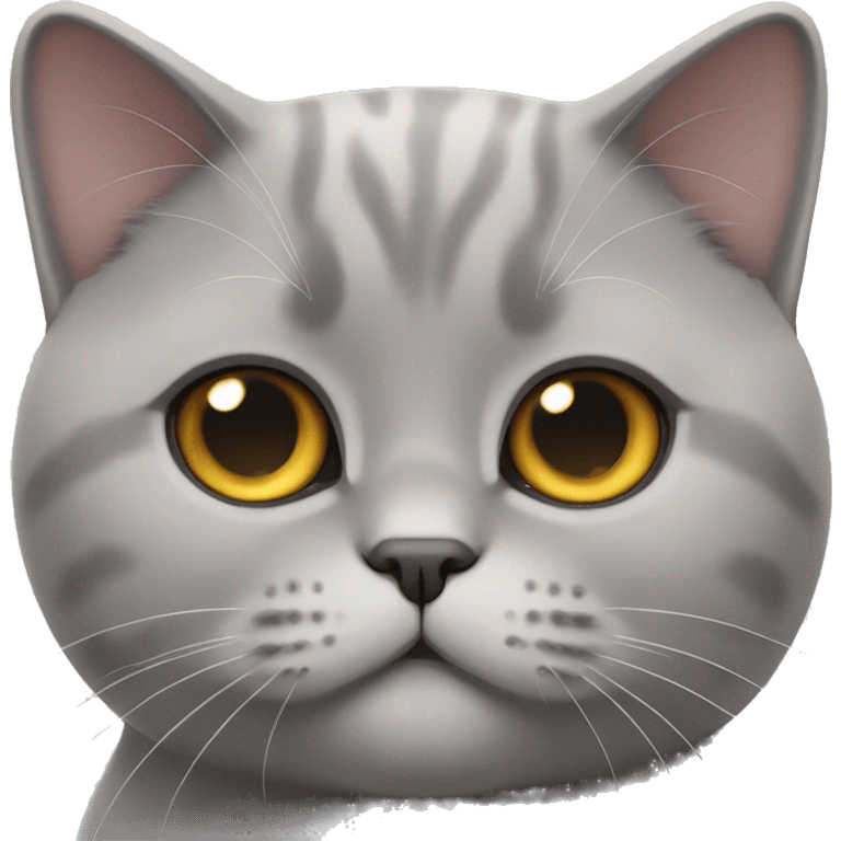 British shorthair cat  emoji