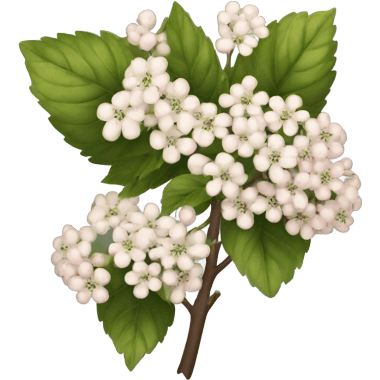 viburnum emoji